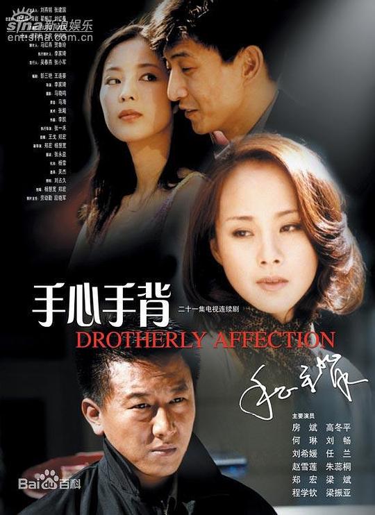 手心手背剧情介绍