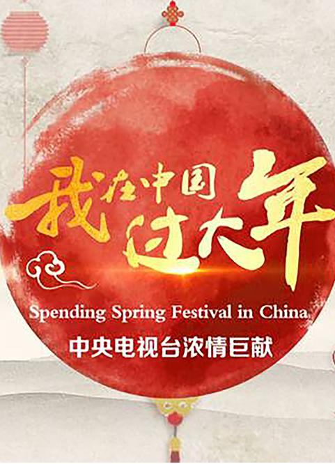 我在中国过大年剧情介绍