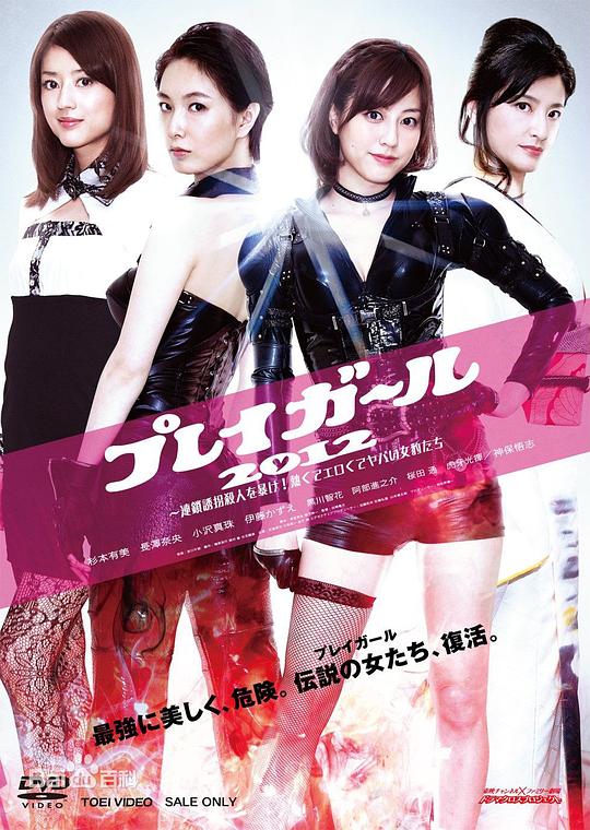 PLAYGIRL2012剧情介绍