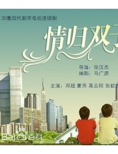 小丈夫剧情介绍海报