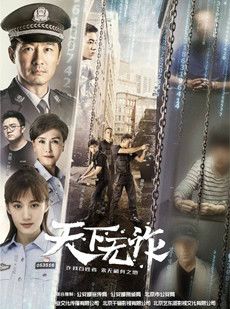 天下无诈分集剧情介绍(1-40集)大结局