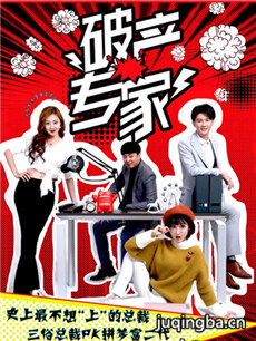 破产专家分集剧情介绍(1-12集)大结局