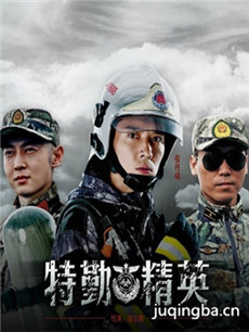 特勤精英分集剧情介绍(1-32集)大结局