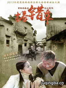 《搭错车(2016新版)》分集剧情介绍(1-38集)大结局