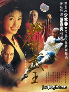 少林武王分集剧情介绍1-22集大结局